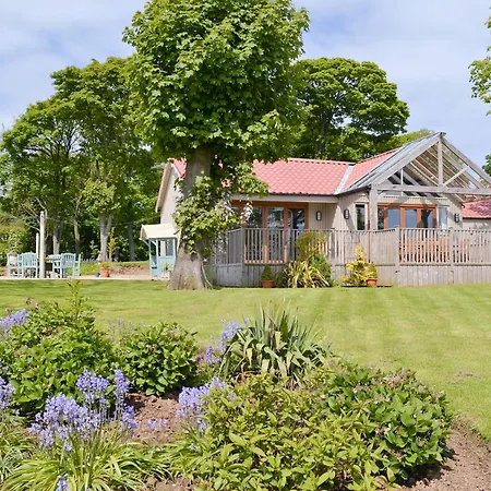The Pavillion *